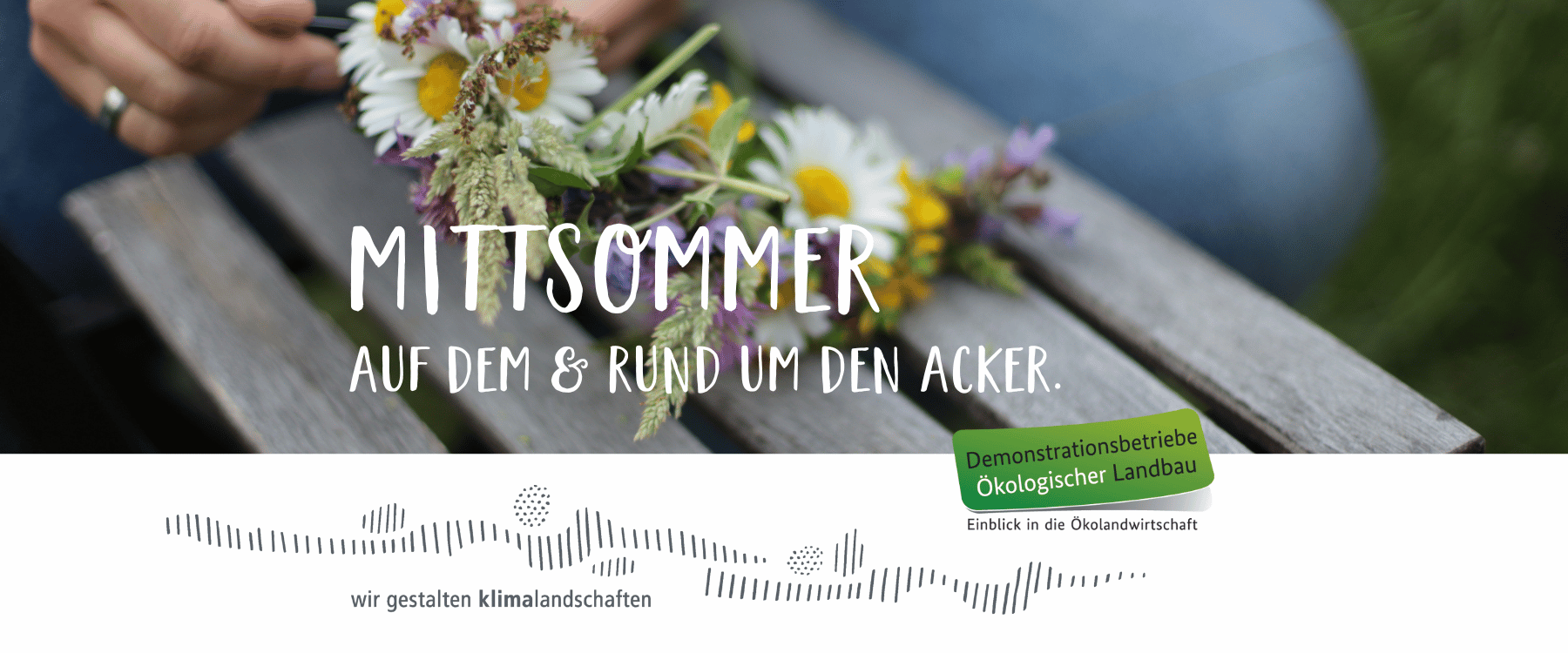 Mittsommer auf dem und rund um den Acker