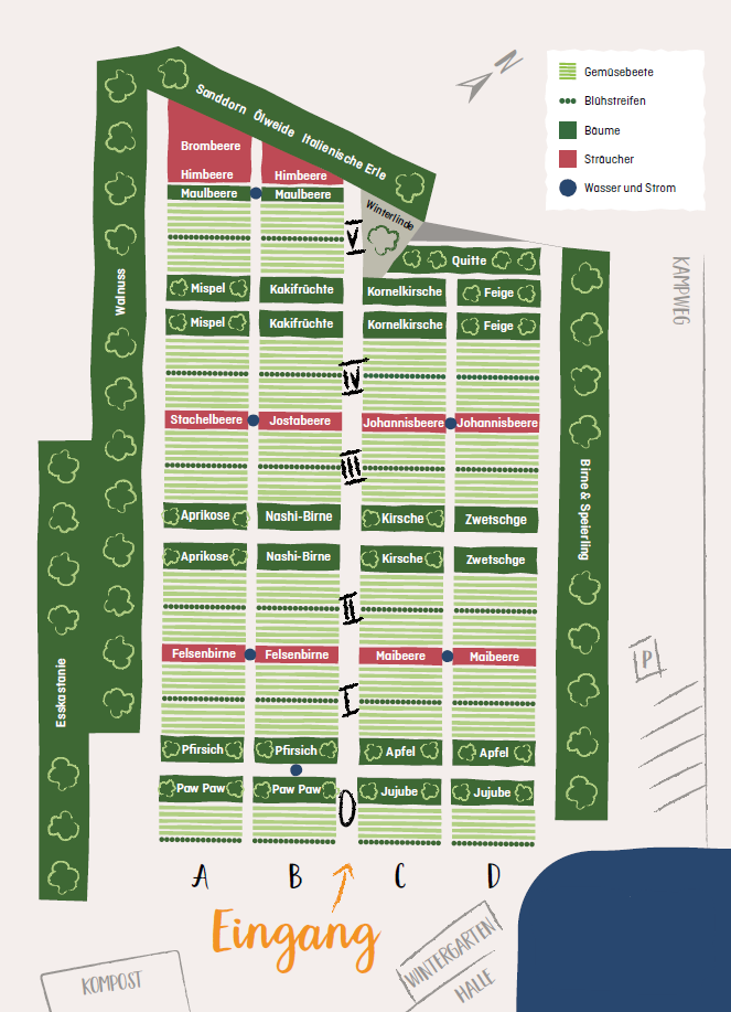 Ein Lageplan von unserem Acker