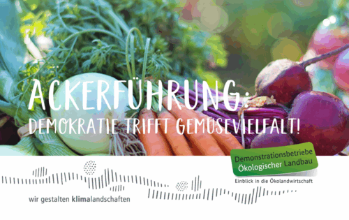 Bild mit buntem Gemüse