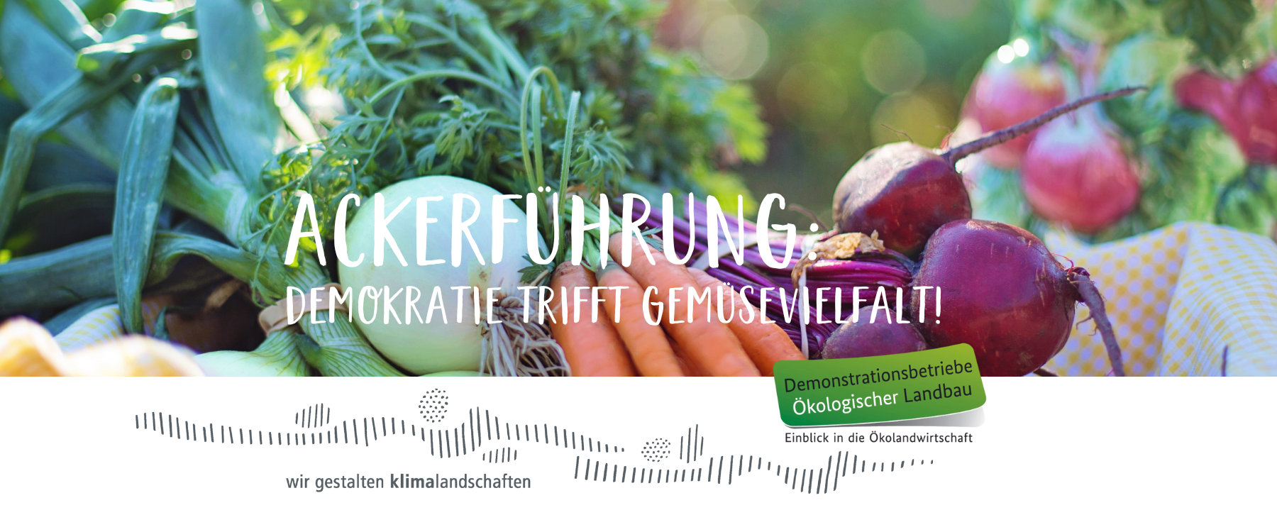Bild mit buntem Gemüse