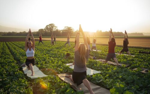 Mehrere-Menschen-machen-Yoga-auf-einem-gruenen-Acker-auf-dem-Gemuese-waechst-