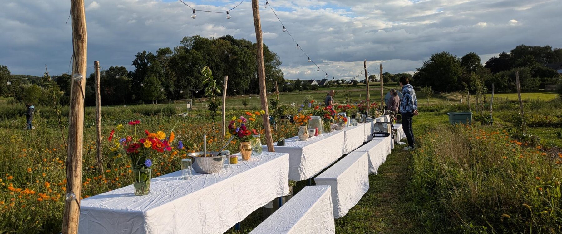 Eine-lange-Tafel- mit-weißer-Tischdecke-und-Blumenvasen mit bunten-Blumen