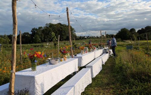 Eine-lange-Tafel- mit-weißer-Tischdecke-und-Blumenvasen mit bunten-Blumen