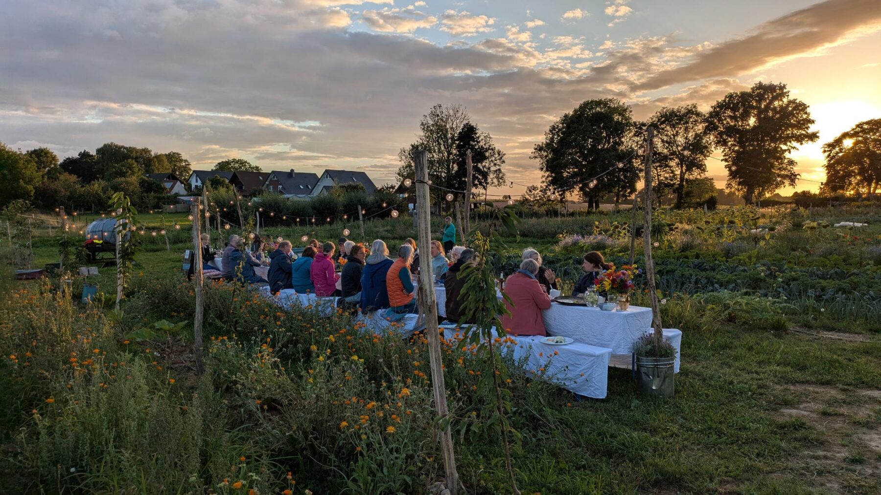 Abend auf dem Acker
